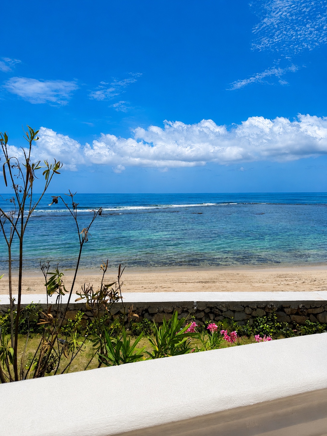 The ocean view