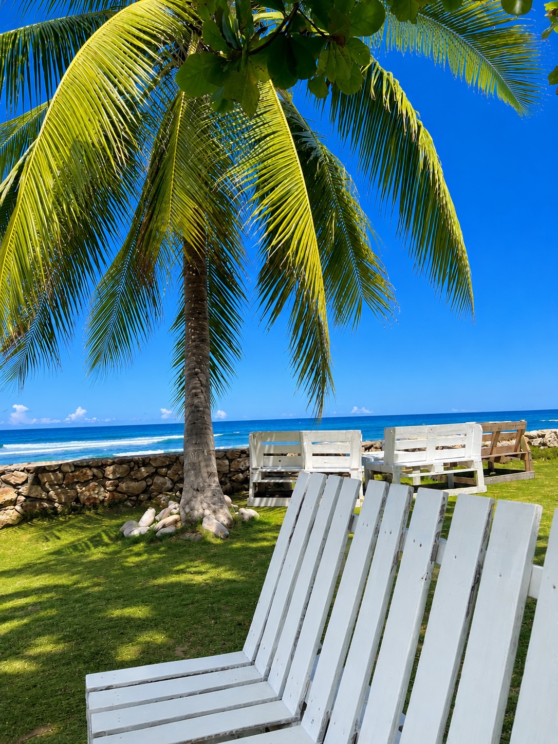 Garden by the sea